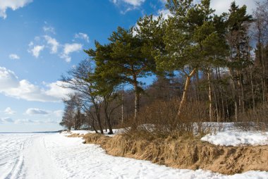 Coast of Finland Gulf in early spring clipart
