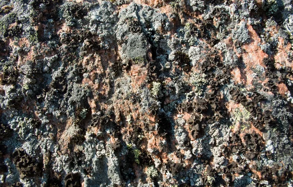 Natuurlijke steen textuur — Stockfoto