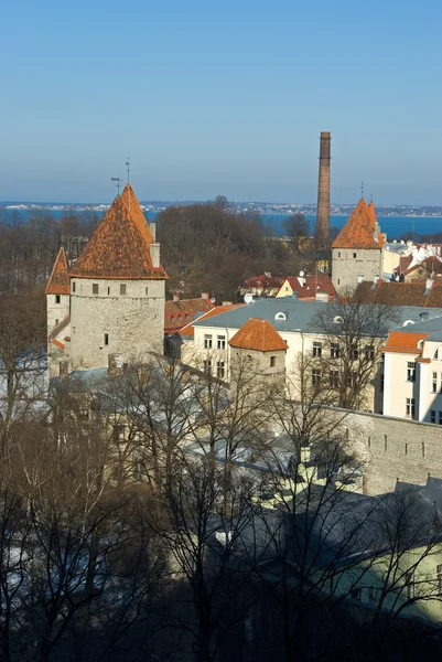 Vecchio panorama di Tallinn — Foto Stock