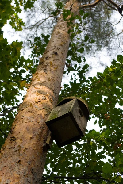 stock image Birdhouse