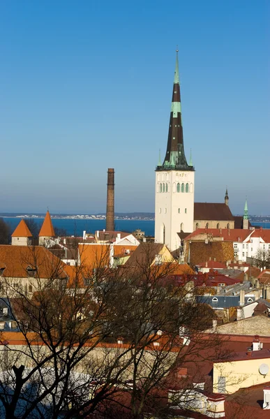 Staré Tallinn panorama Stock Fotografie
