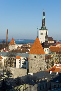 Eski Tallinn Panoraması