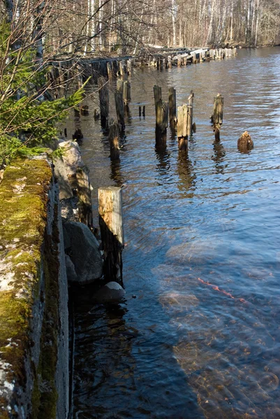 Vuloksi river kust under våren — Stockfoto