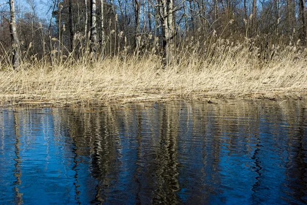 stock image Spring landscape, Vuoksi river