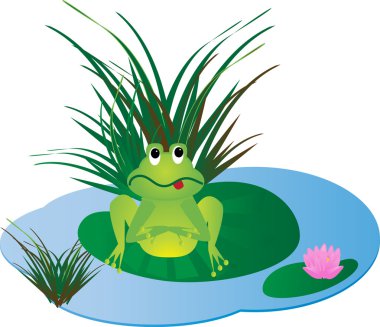 Small frog on the water lily leaf. clipart