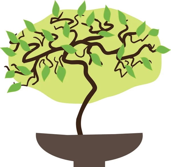 Küçük bonsai ağaç arka plan. — Stok Vektör