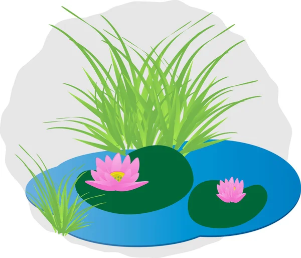 Water lilly — Stockvector