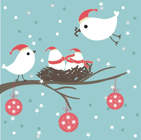 Christmas card with bird couple. — Stock Vector