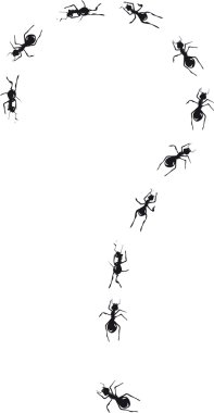 Ants question. clipart