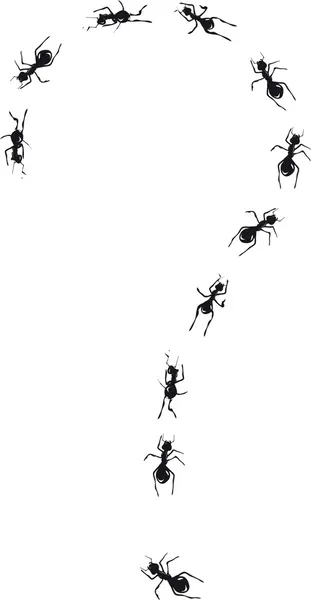 Hormigas pregunta . — Archivo Imágenes Vectoriales