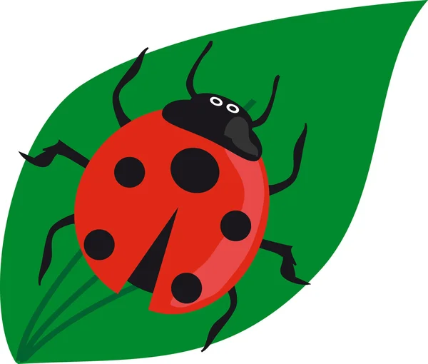 Ladybird on green leaf. — Stock Vector