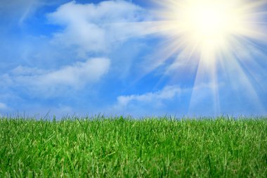 Grass field over blue sky clipart