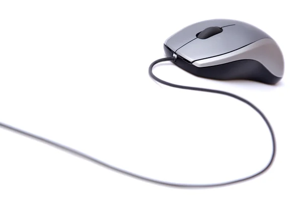 Grey computer mouse — Stock Photo, Image