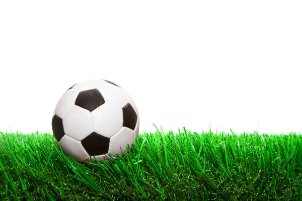 Fotboll boll på gräset Royaltyfria Stockbilder