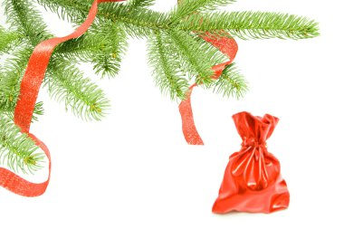 Chrismas gifts under the conferous tree clipart