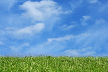 Grass field over blue sky clipart