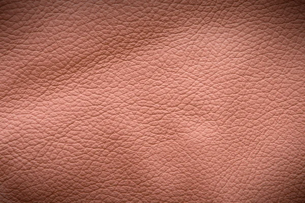 Texturovaná kůže pozadí — Stock fotografie