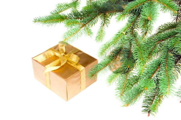 Regalo di Natale sotto l'albero — Foto Stock