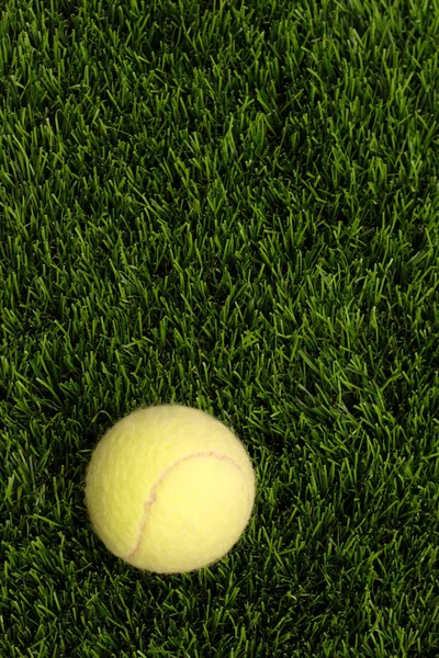 Herbe et balle de tennis — Photo