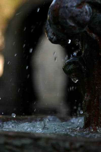 stock image Water Drops