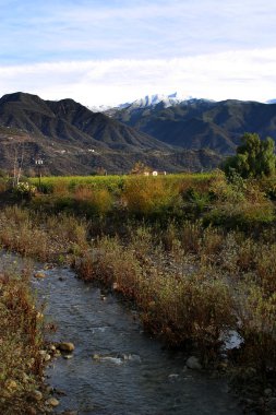 Ojai vadisinde