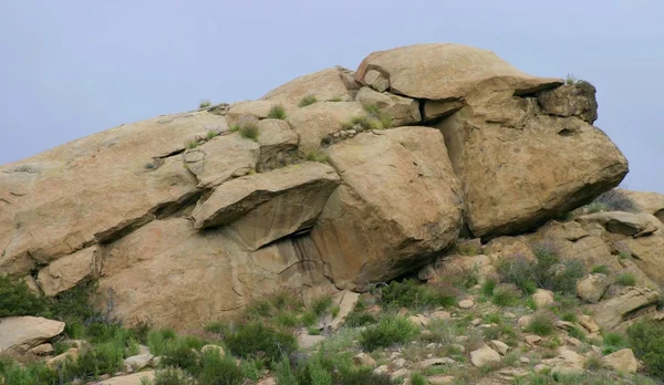 岩石表面 — 图库照片