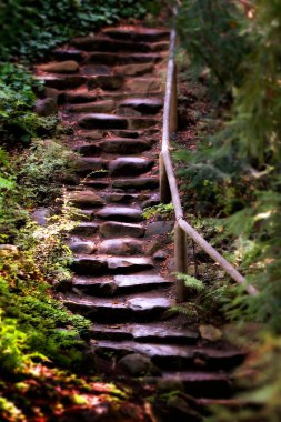 Old Wet Stone Steps clipart