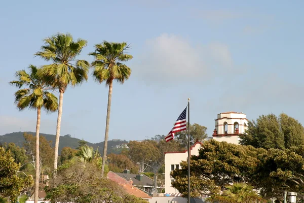 Palmiye ağacı bayrağı — Stok fotoğraf