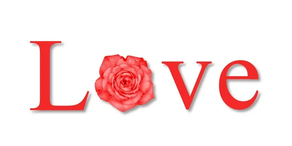 Sevgi çiçek kırmızı — Stok fotoğraf