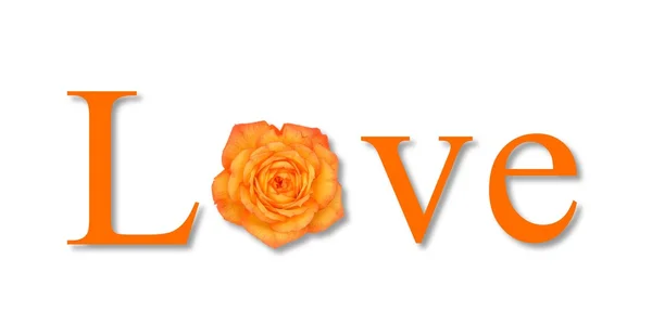 Pomarańczowy kwiat miłość — Zdjęcie stockowe