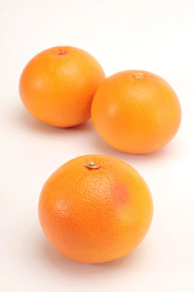 Grapefruitgruppe — Stockfoto
