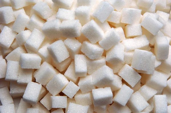 Ламб сахар — стоковое фото