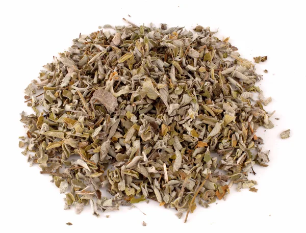 Sage tea — Stock Photo, Image