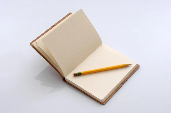 Kniha a pero — Stock fotografie