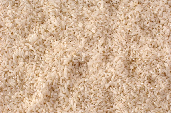 stock image Rice