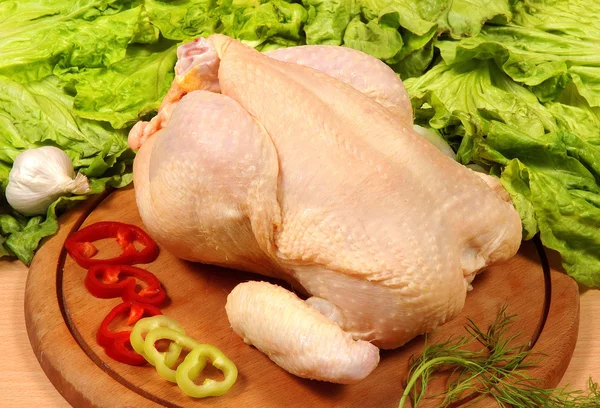 Kycklingkött — Stockfoto