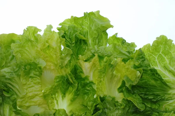 Green salad — Stock Photo, Image