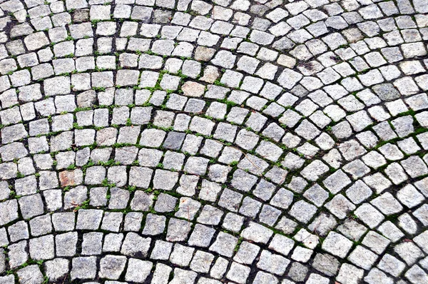 stock image Stone path