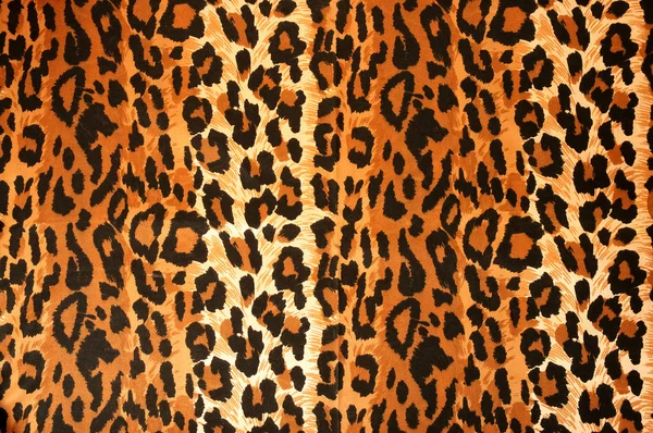 Leopard тканиною — стокове фото