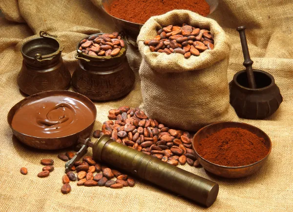 Cacao products — Stock Photo, Image