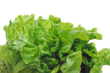 yeşil salata