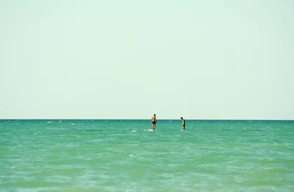 Stock image on the reefs