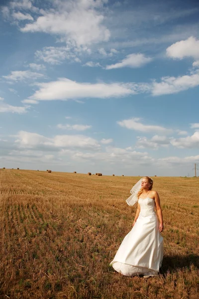 Einsame Braut auf dem Feld — Stockfoto