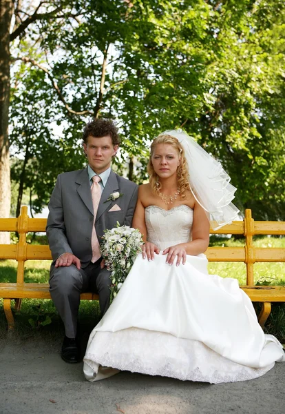 Portrait newlyweds — Stock Photo, Image