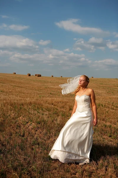 Noiva solitária no campo — Fotografia de Stock