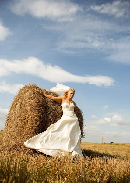 Bruid veld — Stockfoto