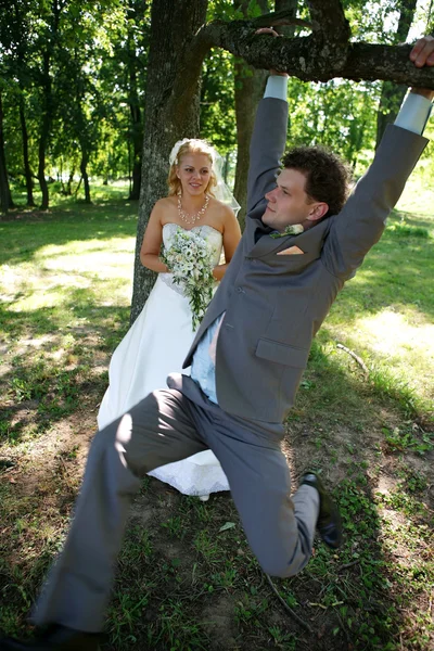 Newlyweds. — Stock Photo, Image