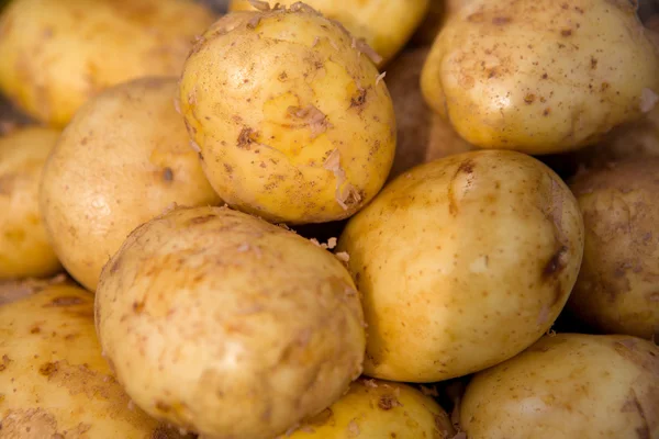 stock image Potatoes