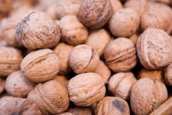 stock image Walnuts in shell