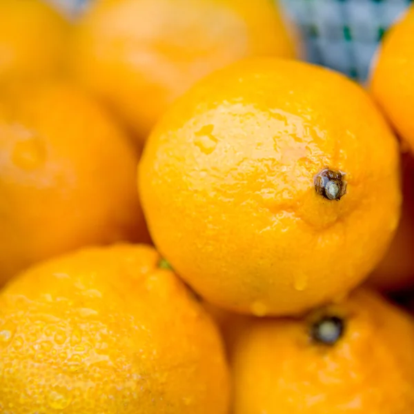 Saftige frische Zitrone — Stockfoto
